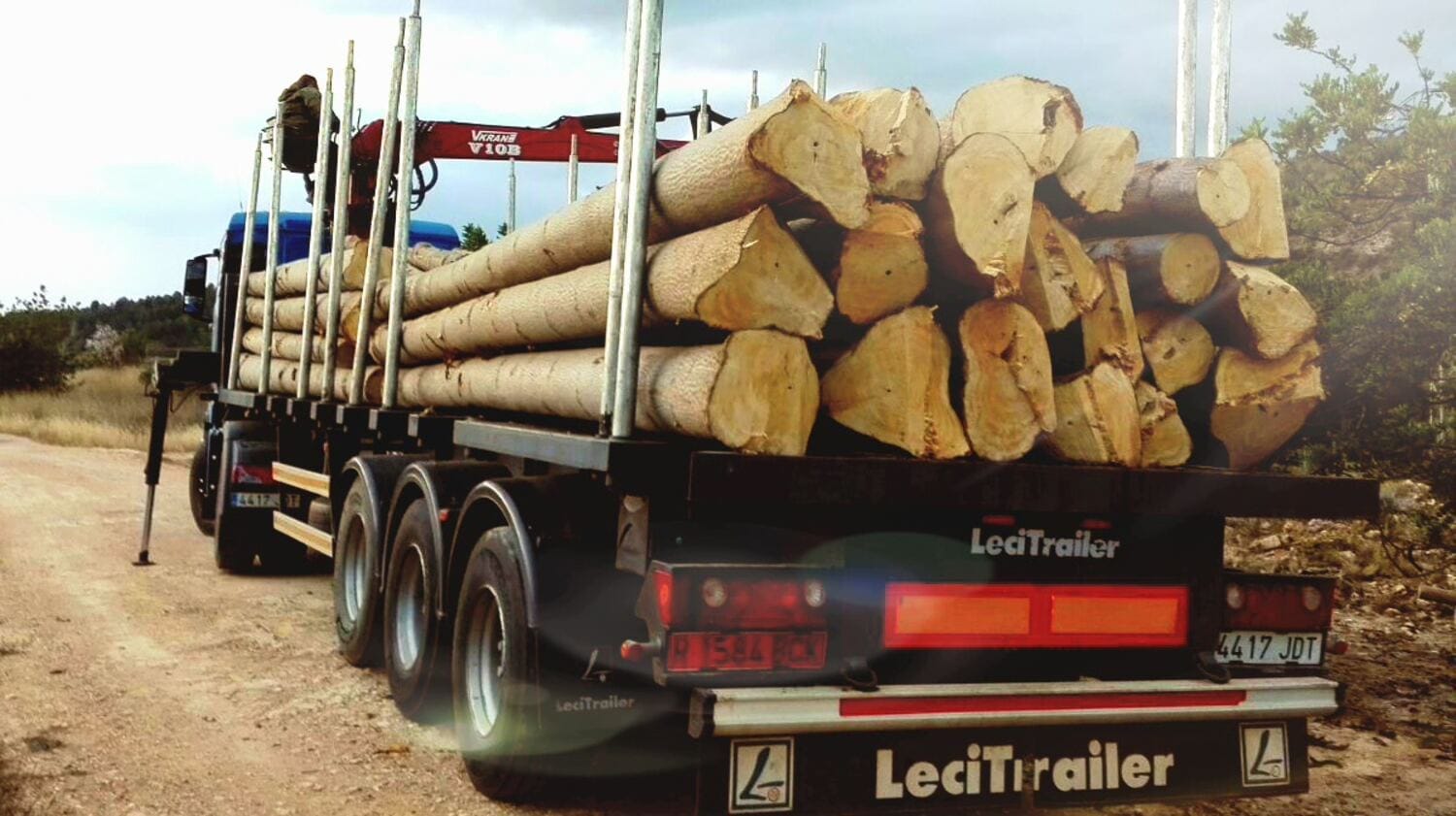 Camión maderero cargado con troncos de paulownia, listo para salir hacia el aserradero